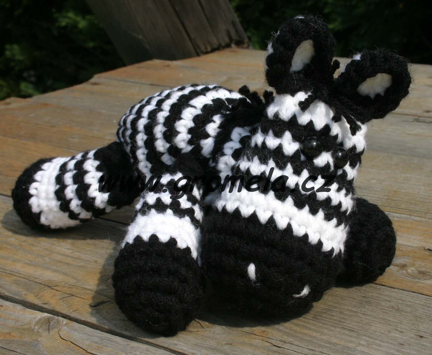 Zebra