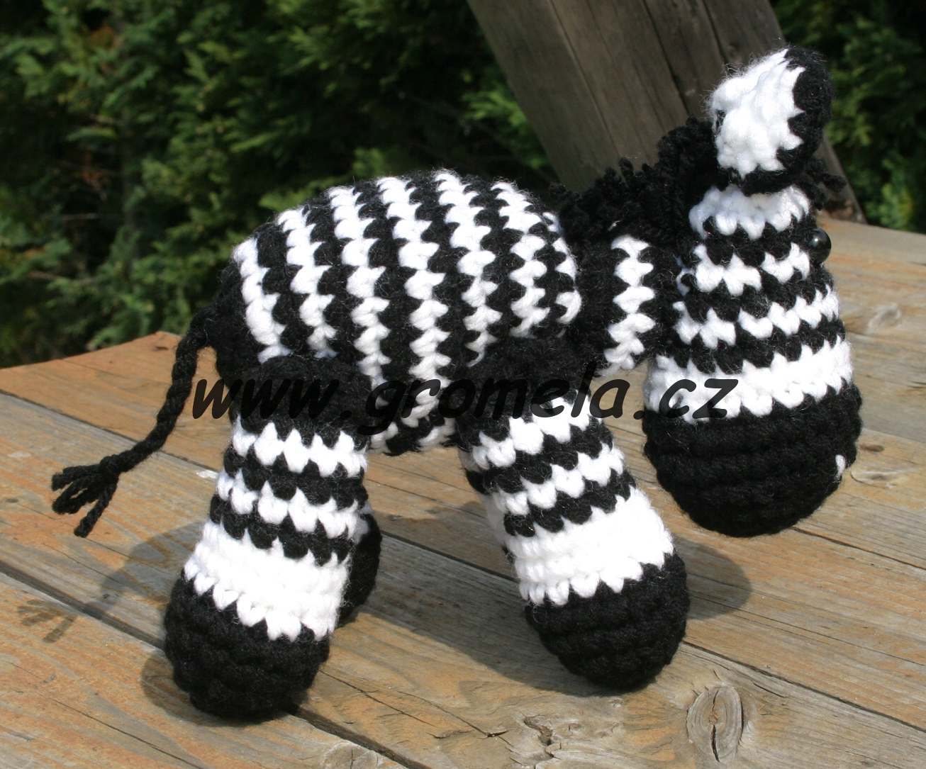 Zebra